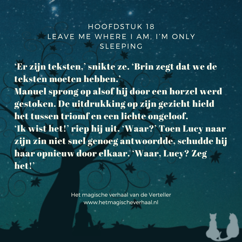 Hoofdstuk 18: I'm Only Sleeping uit Het magische verhaal van de Verteller