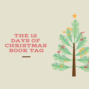 12 Days of Christmas Book Tag | HMVVDV